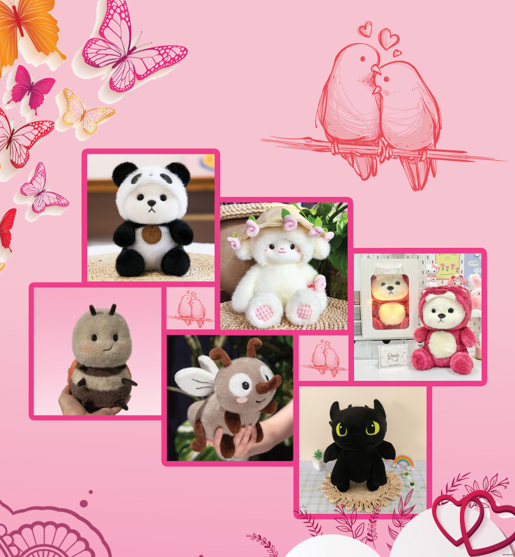 Teddy